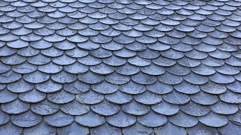 Close-up of a roof of rounded fish-scale slate shingles